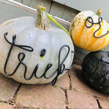Load image into Gallery viewer, Trick or Treat
